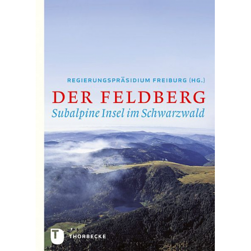 Der Feldberg