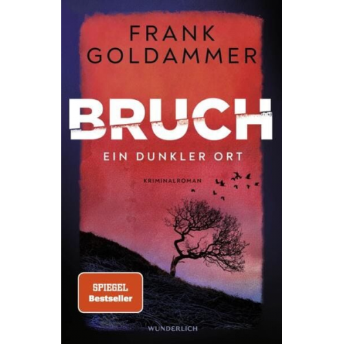 Frank Goldammer - Bruch: Ein dunkler Ort