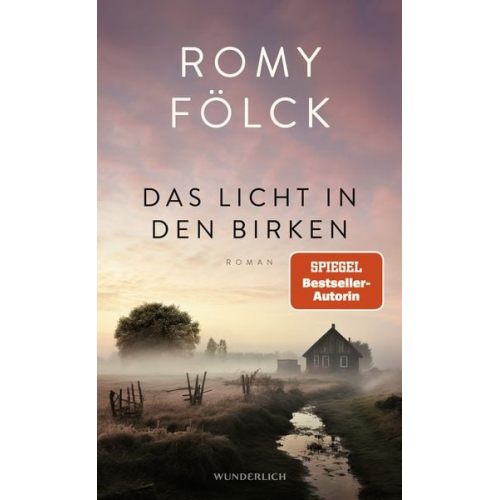 Romy Fölck - Das Licht in den Birken