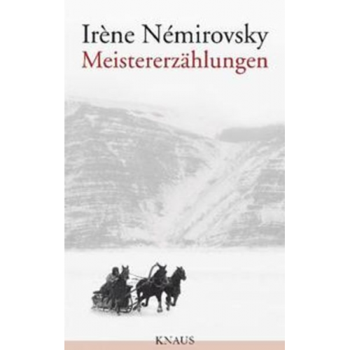 Irène Némirovsky - Meistererzählungen