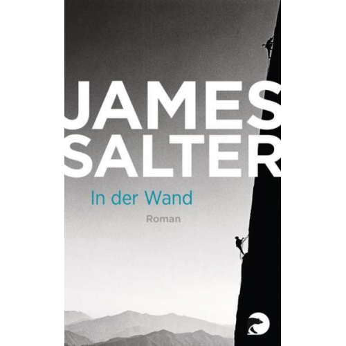 James Salter - In der Wand