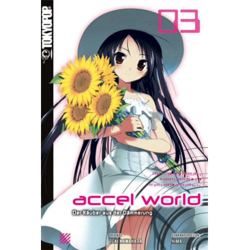 Reki Kawahara HIMA Biipii - Accel World - Novel 03