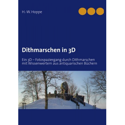 H.-W. Hoppe - Dithmarschen in 3D