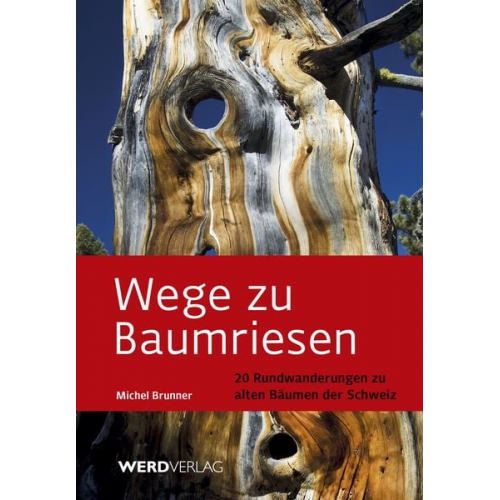 Michael Brunner - Wege zu Baumriesen