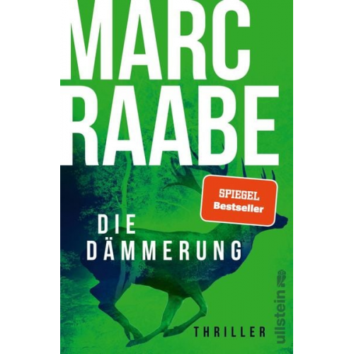 Marc Raabe - Die Dämmerung