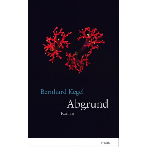 Bernhard Kegel - Abgrund