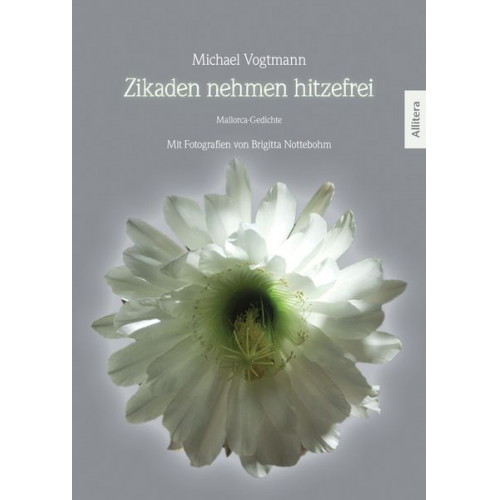 Michael Vogtmann - Zikaden nehmen hitzefrei