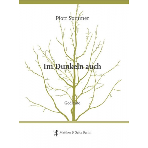 Piotr Sommer - Im Dunkeln auch