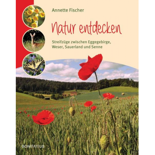 Annette Fischer - Natur entdecken