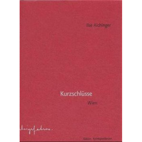 Ilse Aichinger - Kurzschlüsse