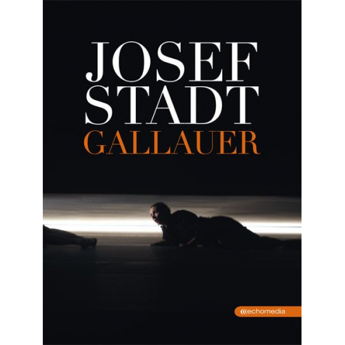 Sepp Gallauer - Josefstadt