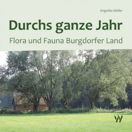 Angelika Möller - Durchs ganze Jahr