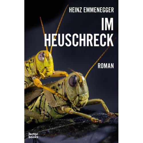 Heinz Emmenegger - Im Heuschreck
