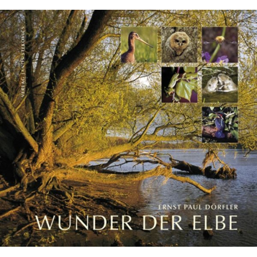 Ernst P. Dörfler - Wunder der Elbe