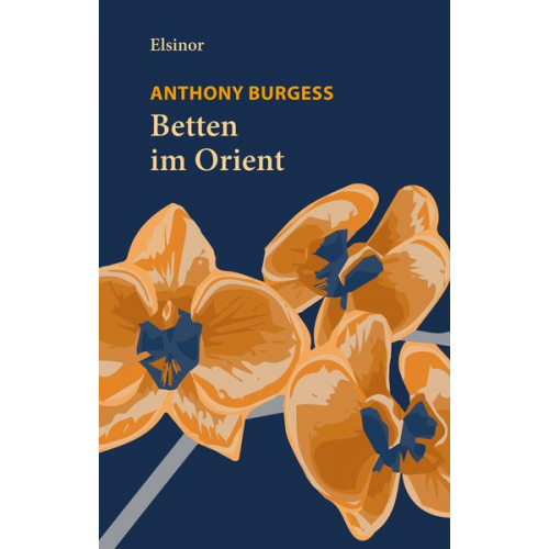 Anthony Burgess - Betten im Orient