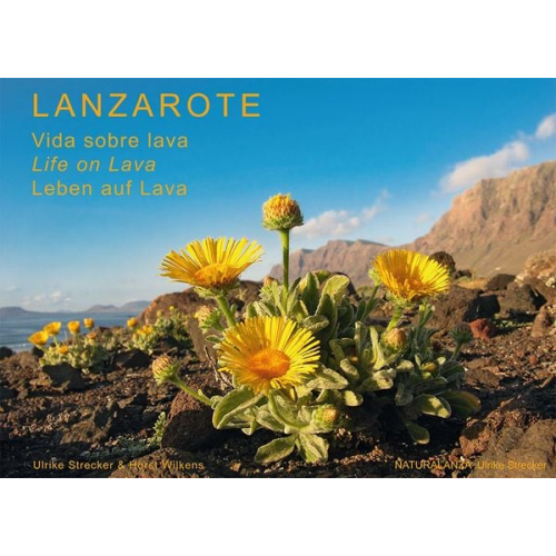 Ulrike Strecker Horst Wilkens - Lanzarote - Leben auf Lava