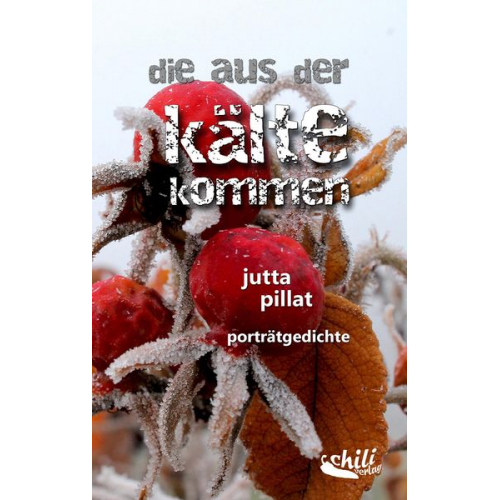 Jutta Pillat - Die aus der kälte kommen