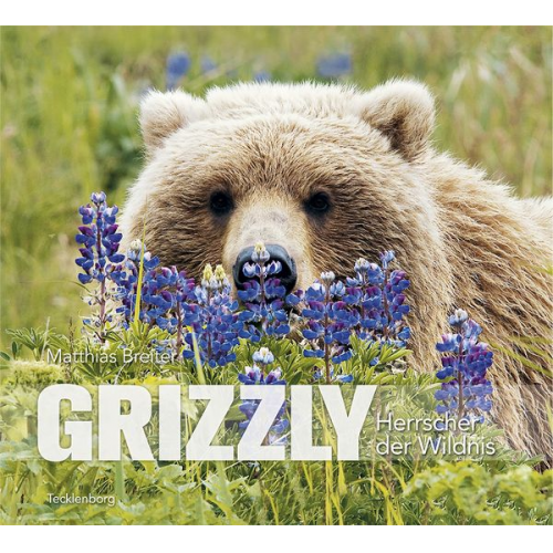 Matthias Breiter - Grizzly