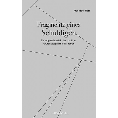 Alexander Merl - Fragmente eines Schuldigen