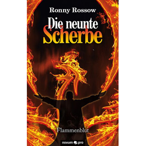 Ronny Rossow - Die neunte Scherbe