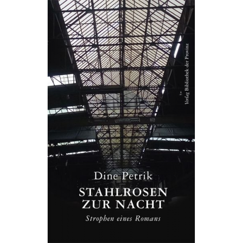 Dine Petrik - Stahlrosen zur Nacht