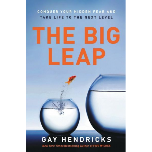 Gay Hendricks - Big Leap, The