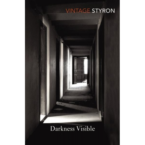 William Styron - Darkness Visible