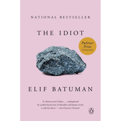 Elif Batuman - The Idiot