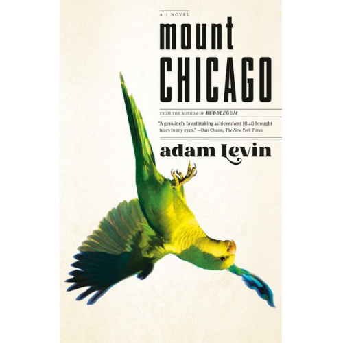 Adam Levin - Mount Chicago