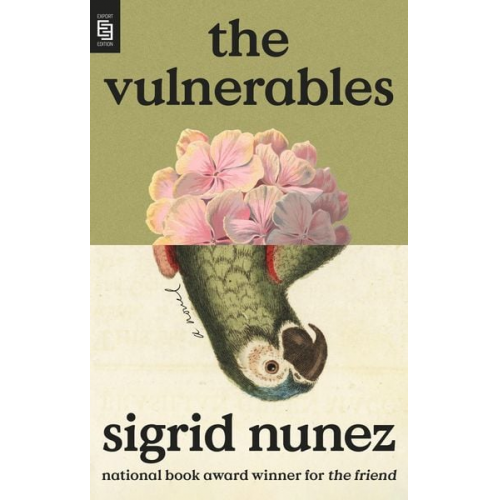 Sigrid Nunez - The Vulnerables