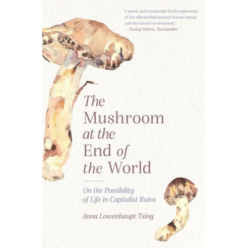 Anna Lowenhaupt Tsing - Mushroom at the End of the World