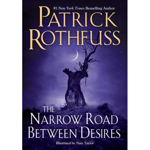 Patrick Rothfuss - The Narrow Road Between Desires