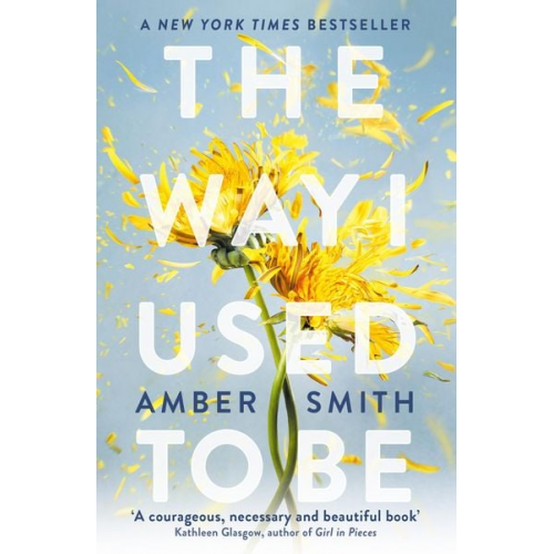 Amber Smith - The Way I Used to Be