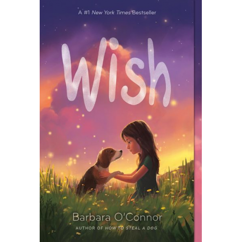 Barbara O'Connor - Wish