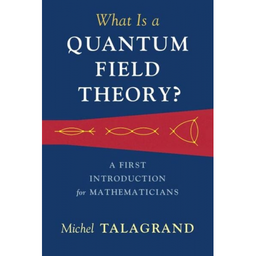 Michel Talagrand - What Is a Quantum Field Theory?