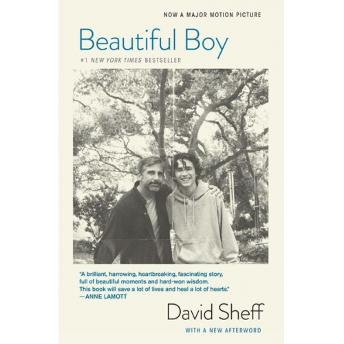 David Sheff - Beautiful Boy (Tie-In)