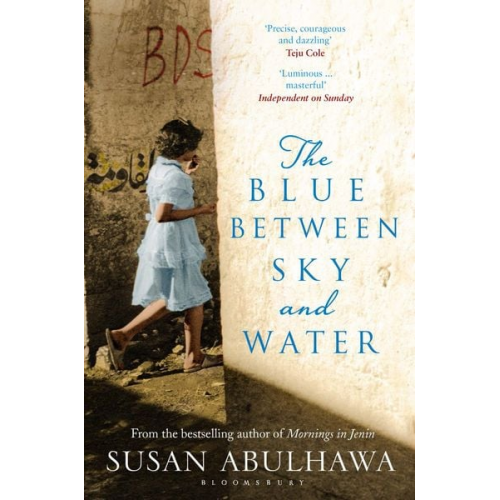 Susan Abulhawa - The Blue Between Sky and Water