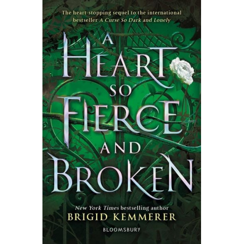 Brigid Kemmerer - A Heart So Fierce and Broken