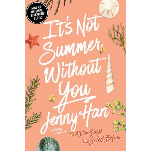 Jenny Han - It's Not Summer Without You