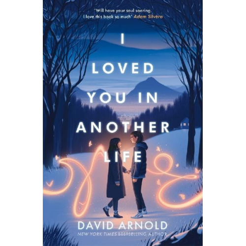 David Arnold - I Loved You In Another Life
