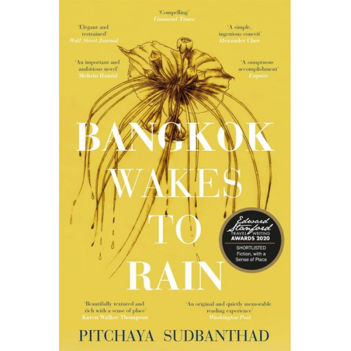 Pitchaya Sudbanthad - Bangkok Wakes to Rain