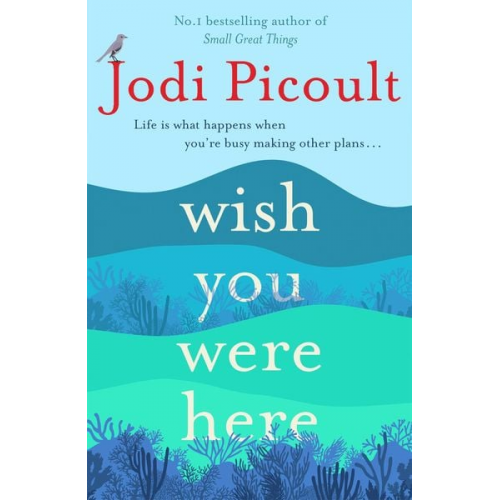 Jodi Picoult - Wish You Were Here