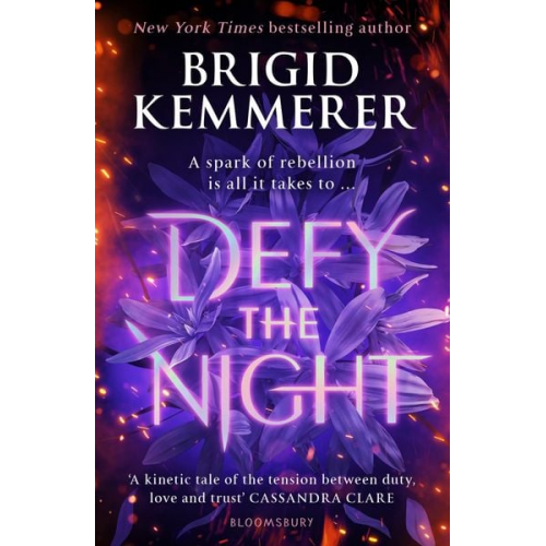 Brigid Kemmerer - Defy the Night