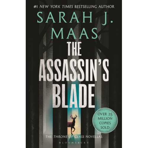Sarah J. Maas - The Assassin's Blade
