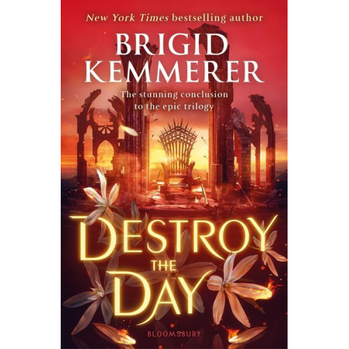 Brigid Kemmerer - Destroy the Day