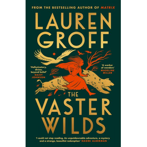 Lauren Groff - The Vaster Wilds