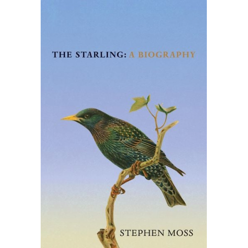 Stephen Moss - The Starling