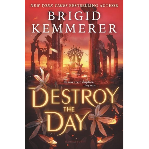 Brigid Kemmerer - Destroy the Day