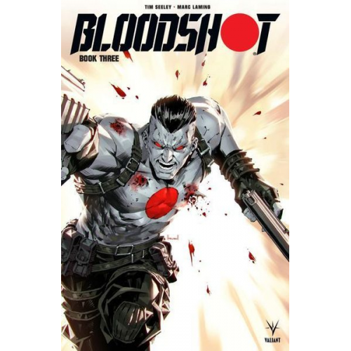 Tim Seeley - Bloodshot (2019) Book 3