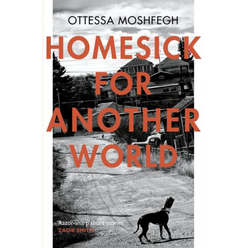 Ottessa Moshfegh - Homesick For Another World